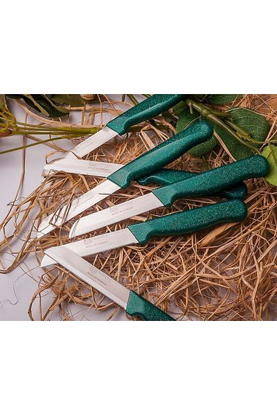 Solingen Serrated 1 Quality Fruit and Vegetable Knife 6 Pieces