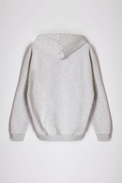 Trendyol Collection Γκρι oversized / Φαρδιά εφαρμογή με κουκούλα Ετικέτα με επένδυση από φλις/Ζεστό φούτερ TMNAW21SW2005