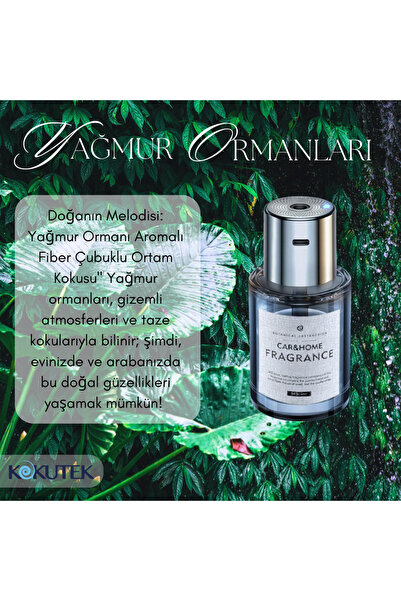 Kokutek Otomatik Araç Kokusu - Yağmur Ormanları Kokusu