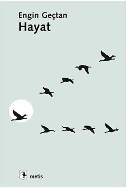 Metis Yayınları Hayat Metis Yayınları