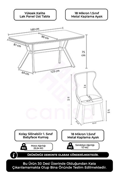 Canisa Esla Serisi 90x160 Lak Panel Antrasit İroni Krom Kaplama Ayaklı Masa Takımı ve 6 Krem Sandalye