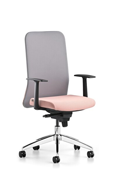 Bürotime Comfy Çalışma Koltuğu | Sabit Kol | Alüminyum Ayak | Gri/somon