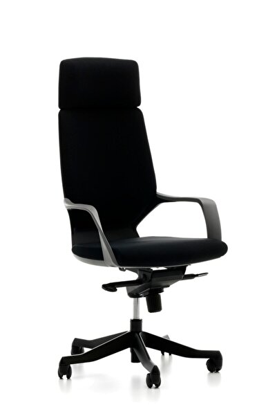 Bürotime Swan Yönetici Koltuğu Oturum Siyah