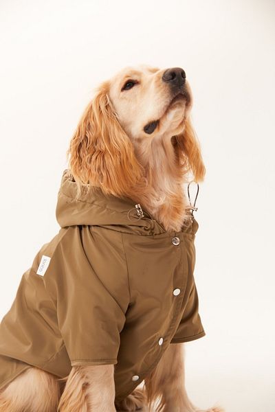Lorico Hooded Waterproof Raincoat with Snap Fastener on the Front (Small and Large Breed Dog Coat)
