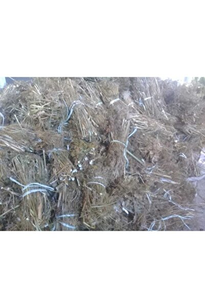 osmanefendiler Tarhana Otu (ege Tabiriyle Dereotu)izmir/ödemiş De Yetiştirilmiştir.2 Demet