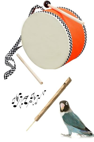 AyasEğiticiOyuncak Orjinal Gerçek Çocuk Darbukası - Turuncu