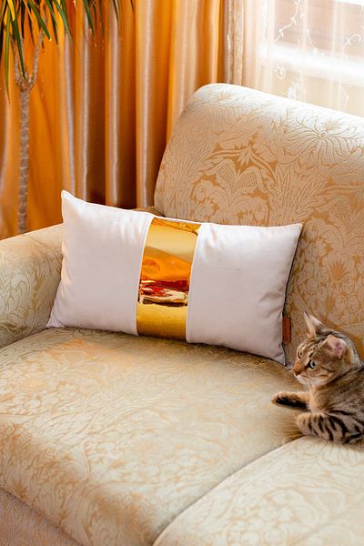 Rayda Home Cream/gold Shiny Leather Detailed Velvet Cushion Cover