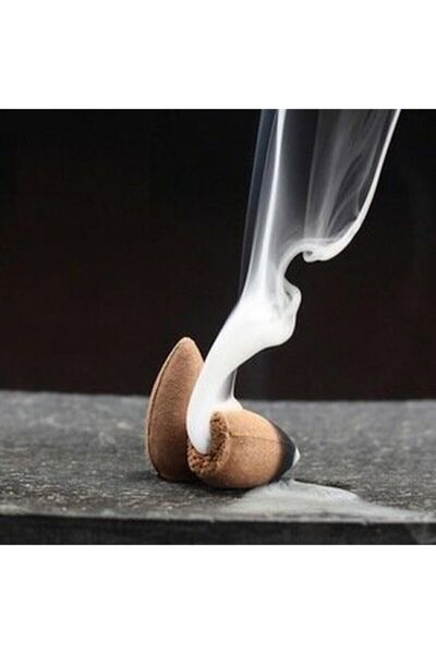 T&C DESIGN Blue Sage Geri Akış Tütsüsü 10 Adet