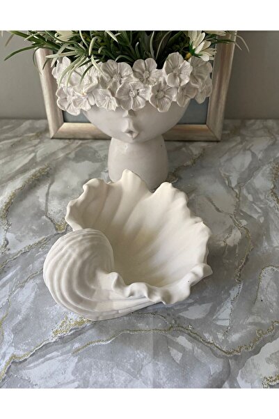 tohumtoprak Deniz kabuğu istiridye midye kase obje dekoratif Beton Mumluk vazo