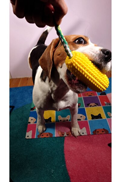 Holidog Köpek Diş Sağlığına Yardımcı Diş Kaşıma Isırma Çekiştirme Oyuncağı Mısır Şekilli