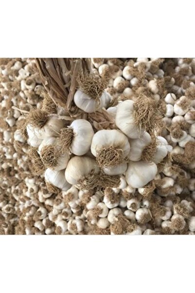 ABAYOĞLU TARIM HAYVANCILIK Kastamonu Taşköprü Sarımsağı Küçük Boy 1 Kg