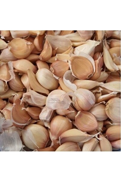 PeraMarble Taşköprü Sarımsak ( Orta Boy ) 1 Kilo