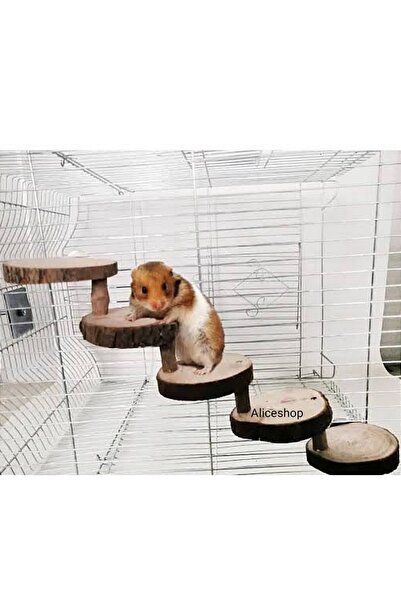 aliceshop Hamster Merdiven 5 Basamak Oyun Parkuru