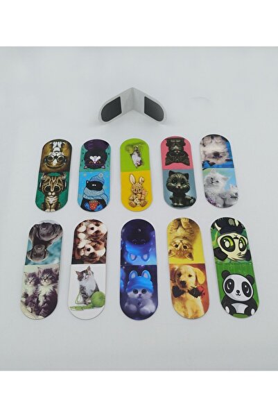 Giftsturkiye علامة مرجعية مغناطيسية صغيرة الحجم حيوانات لطيفة 10 قطع