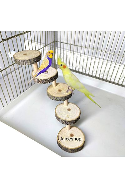 aliceshop 5 Step Natural Wood Perch - Bird Ladder