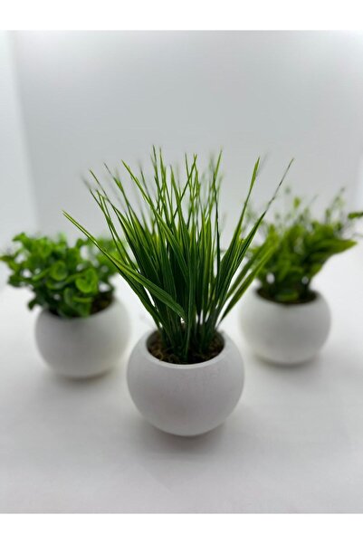 DDPEST Mini Beton Saksı 3'lü Set Gerçek Yosunlu Yapay Çiçek Aranjman Hediyelik Paket Saksı