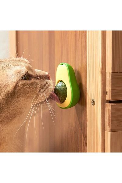 OrsarPets Avocado Shaped Cat Mint - Game Ball with Herb Edible, Natural Captin