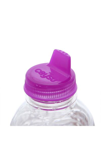 Ceysu Bebek Suyu 24x200 ml Suluk Başlığı Hediyeli (2 PAKET)