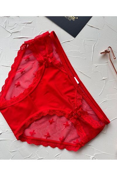 İntive Lingerie Arya Japanese Style - Cheeky Panties with Tulle Cut-Out Detail - Slip-2853