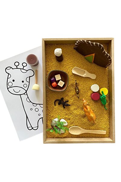 Eğitici Ahşap Oyuncak - Montessori Etkinlik Seti