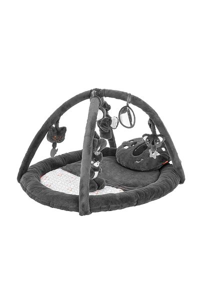 Gezenbebe Enjoy Activity and Play Mat