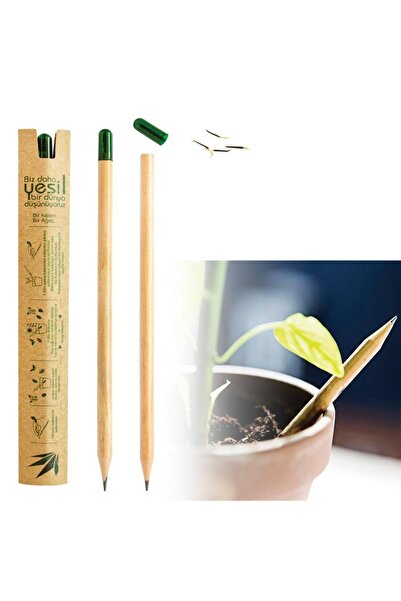 NYDECORIST 10 أقلام رصاص مع بذور اليانصيب