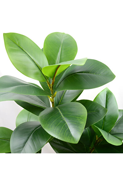 Yapay Çiçek Deposu Yapay Ağac Kauçuk Bitkisi Dalı 85 cm (Saksısız)