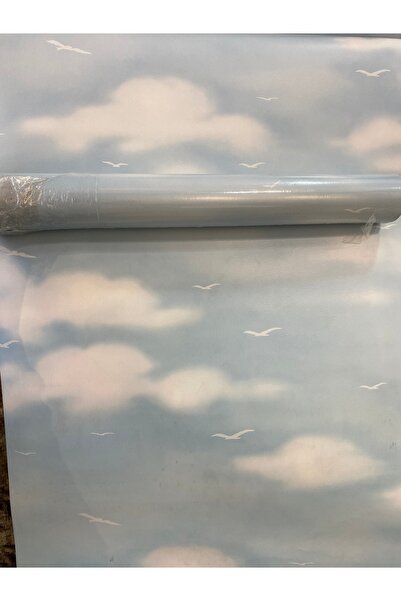 DUVARKİT GÖKYÜZÜ VE KUŞ DESENLİ ÇOÇUK ODASI DUVAR KAĞIDI