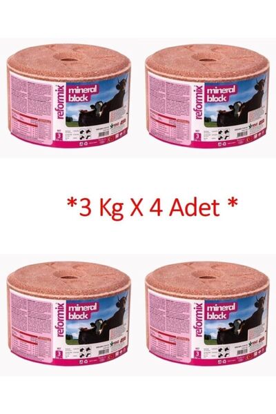 REVA Yalama Taşı 3kg X 4 Adet (DÖNMEZ)