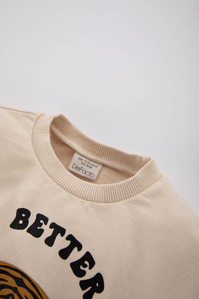 DeFacto Baby Boy Crew Neck Printed Sweatshirt - C0635A524Sp