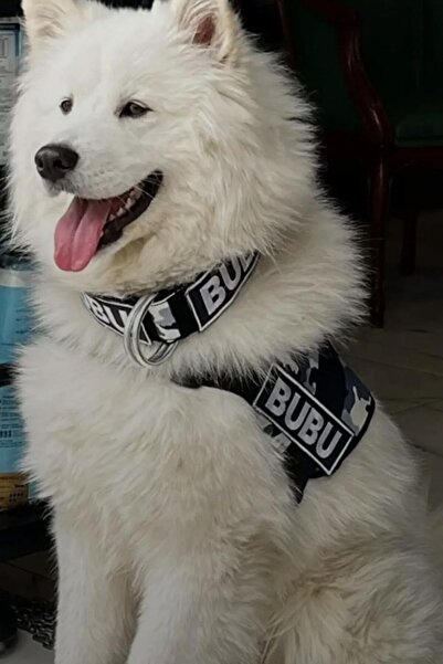 MgTasma Kişiye Özel, Isimli K9 Köpek Tasması, Göğüs Ve Boyun Tasma Seti
