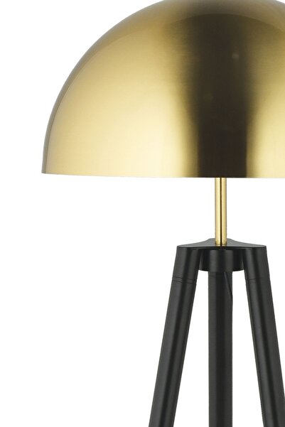 Apliqa Semyon Tekli Eskitme Modern Oturma Odası, Yatak Odası, Salon Lüks Lambader