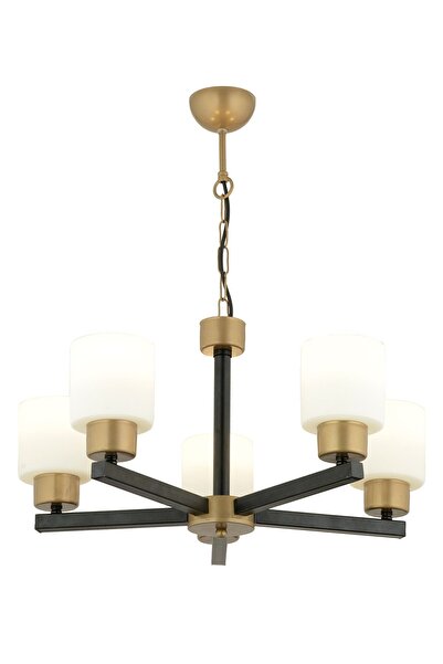 Apliqa Jade 5 Li Avize Eskitme Siyah Boyalı Beyaz Camlı Modern Genç Odası Yatak Odası Retro Salon Avize