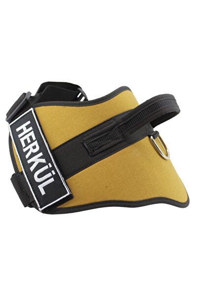 MgTasma Kişiye Özel, Isimli K9 Köpek Tasması, Göğüs Ve Boyun Tasma Seti