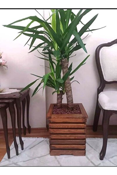 inci mobilya ahşap وعاء زهور خشبي مزخرف بلون الكستناء مقاس 30 × 25 سم