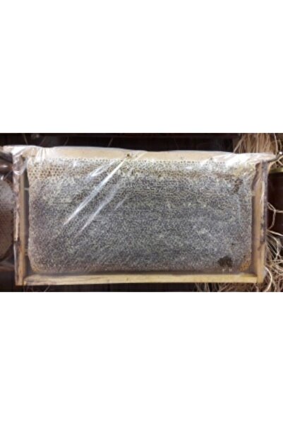 ERZURUM BAL BİRLİK SÜZME ÇİÇEK BALI Erzurum Petek Çiçek Balı(3000-3200GR)