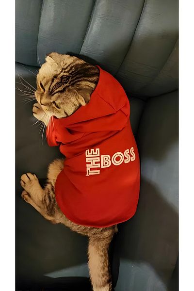 Monopetz Hooded Sweatshirt Dog And Cat Outfit Red The Boss Size M Trendyol