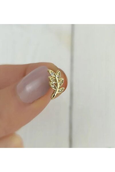 BY DİLEK ÇETİN ACCESSORY Çelik Yaprak Model Kıkırdak,helix,tragus,piercing