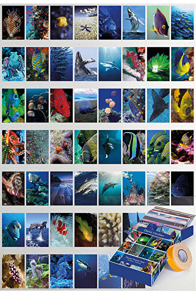 GUGUK Deniz Canlıları 54 Adet Poster Seti, Özel Tasarım Kutulu, Oda Dekoru