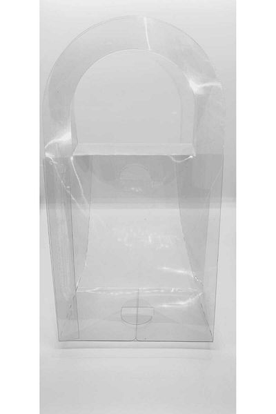 Skybox 25 Pieces 12x10x6 Acetate Bags