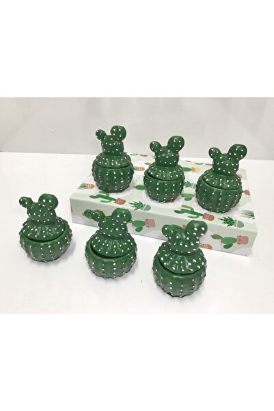 Minik Mucizeler مجموعة أطباق الصبار التركية المبهجة مكونة من 6 قطع هدية للحبيب