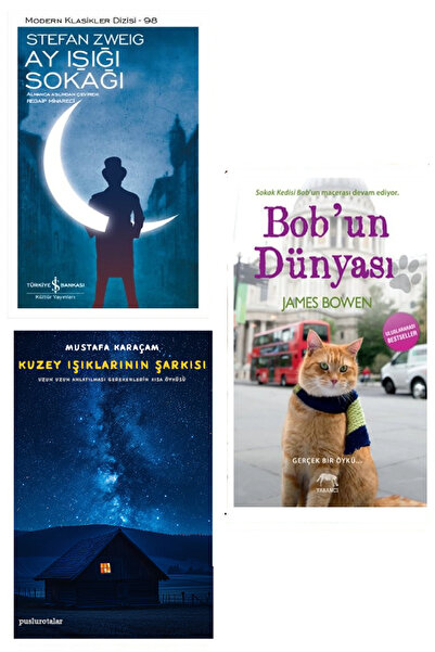 TÜRKİYE İŞ BANKASI KÜLTÜR YAYINLARI Bob'un Dünyası - James Bowen + Ay Işığı S...