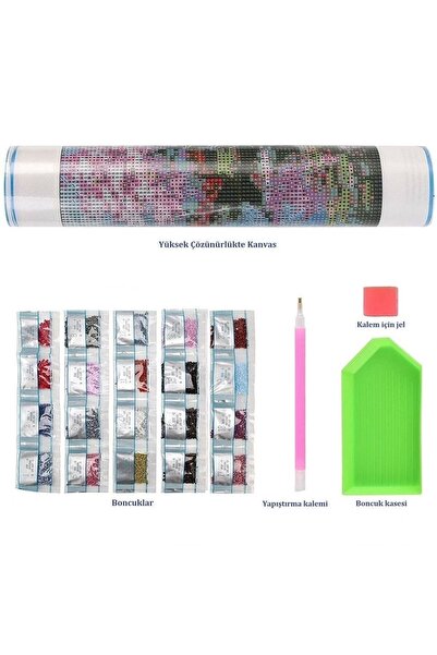 Genel Markalar Hı Stone 5d Elmas Boncuk Taş Işleme Mozaik Goblen Kit 50x40cm Gc73761