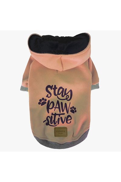 Alphadog Design Pawsitive Latte - سويت شيرت للحيوانات الأليفة