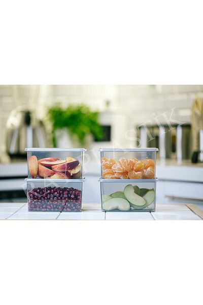 ray plastik 4 Mini Storage Containers Smoked 600 ml