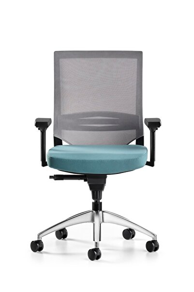 Bürotime Cozy Çalışma Koltuğu - 3d Kol - Alüminyum Ayak - Mint Yeşili/gri