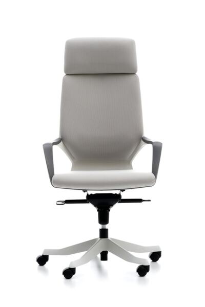 Bürotime Swan Yönetici Koltuğu Açık Gri