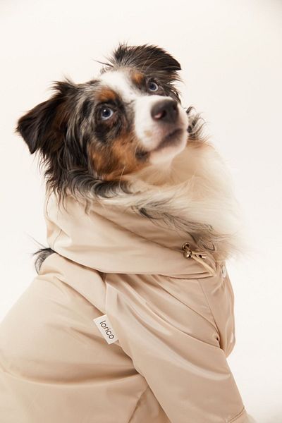 Lorico Hooded Waterproof Raincoat with Snap Fastener on the Front (Small and Large Breed Dog Coat)