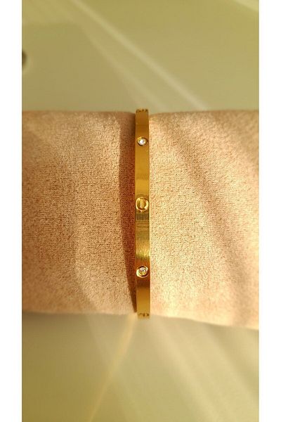 Opia JEWELRY Gold Gold Stone Steel Thin Handcuffs