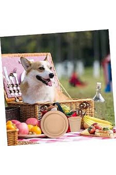 Kraft 10 Organic Paper Plates - 18CM